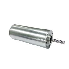 China factory custom technical data micro dc bldc motor specifications